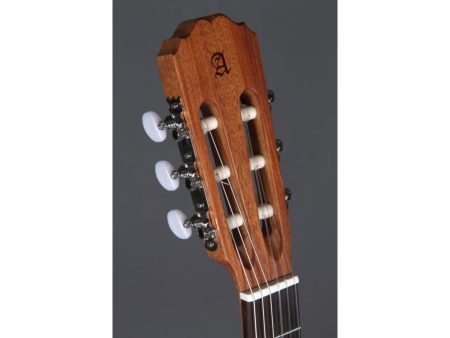 Tapa CEDRO A. AroFdo:MAHOGANY Tint. D:Palosanto. - Image 3