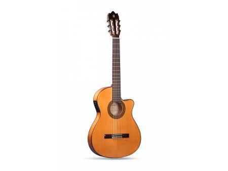 C65FLAM. T:ABE A+. A+F:SICO. D:PALO. BR.N1 FishCl