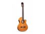 C65FLAM. T:ABE A+. A+F:SICO. D:PALO. BR.N1 FishCl