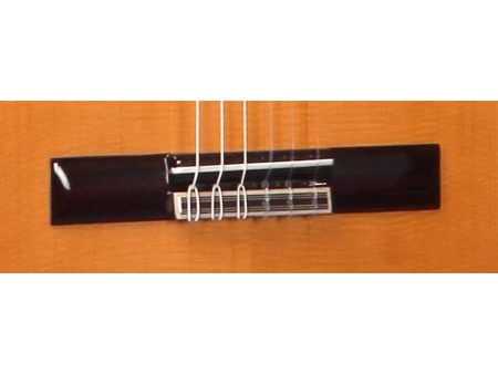 C65FLAM. T:ABE A+. A+F:SICO. D:PALO. BR.N1 FishCl - Image 2
