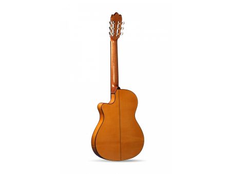 C65FLAM. T:ABE A+. A+F:SICO. D:PALO. BR.N1 FishCl - Image 3
