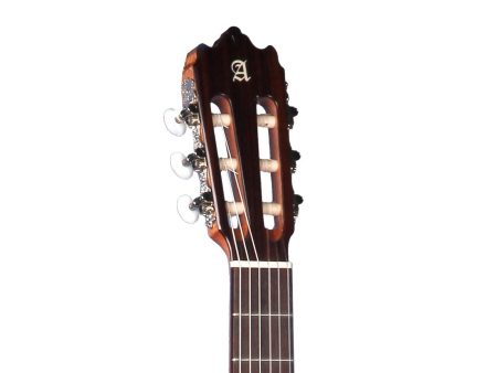 C65FLAM. T:ABE A+. A+F:SICO. D:PALO. BR.N1 FishCl - Image 4