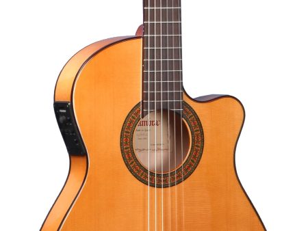 C65FLAM. T:ABE A+. A+F:SICO. D:PALO. BR.N1 FishCl - Image 5