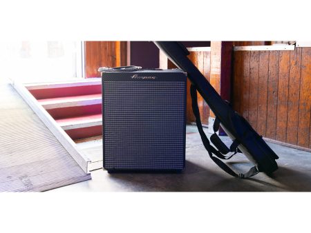 COMBO bajo 500W 2x10" Parlante EMINENCE, SuperGrit - Image 6
