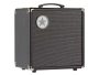 Combo BAJO 30watts 1x8