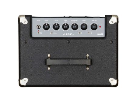 Combo BAJO 30watts 1x8 - Image 3