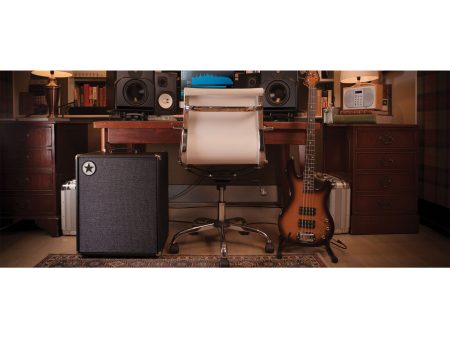 Combo BAJO 500watts, 2x10 - Image 5