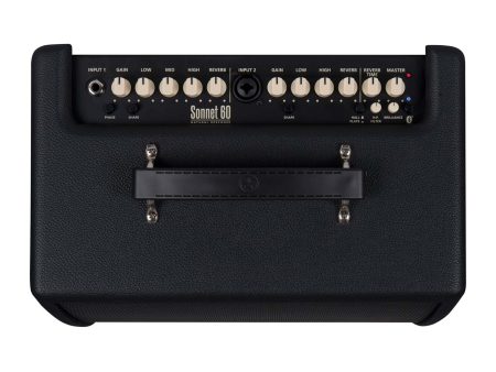 Amplificador p/ ACUSTICA y Voz 60W 1x6" USB - Image 3