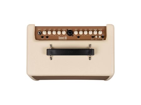 Amplificador p/ ACUSTICA y Voz 60W 1x6" USB - Image 5