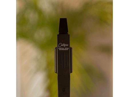 Flauta Digital,c/Parlante,MIDI Bluetooth,Boquilla - Image 6