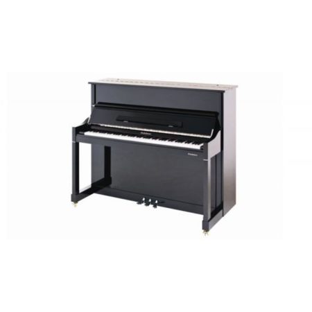 Piano Vertical 122cm Cuerdas:Mapes or Roslau