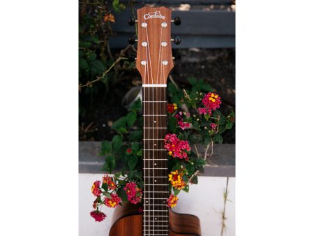 Guitarra Viaje |Nylon|Pre Amp EQ 2 Bandas|Afinador - Image 10