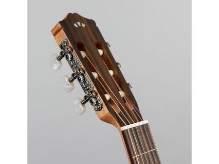 Tapa Solida CEDAR | Clásica | Satinada - Image 9