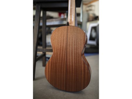 Tapa Solida CEDAR |Clasica 3/4 94cm| Satinada - Image 9