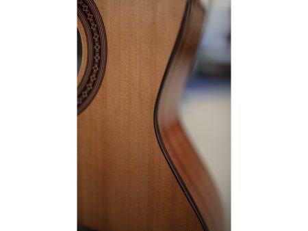 Tapa Solida CEDAR |Clasica 3/4 94cm| Satinada - Image 8