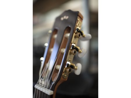 Tapa Solida CEDAR |Clasica 3/4 94cm| Satinada - Image 10