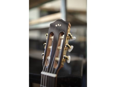 Tapa Solida CEDAR |Clasica 3/4 94cm| Satinada - Image 7