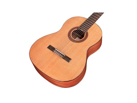 Tapa Solida CEDAR | Clasica 7/8 97cm | Satinada - Image 3