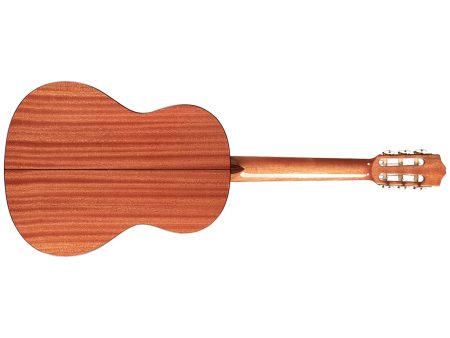 Tapa Solida CEDAR | Clasica 7/8 97cm | Satinada - Image 2