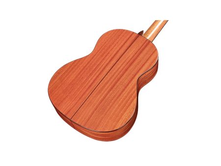 Tapa Solida CEDAR | Clasica 7/8 97cm | Satinada - Image 4