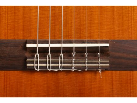 Tapa Solida CEDAR | Clasica 7/8 97cm | Satinada - Image 6