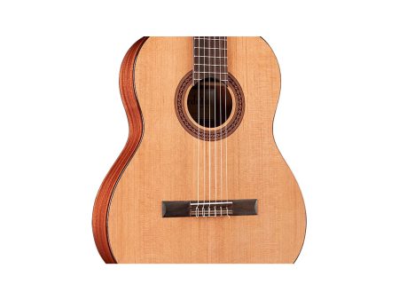 Tapa Solida CEDAR | Clasica 7/8 97cm | Satinada - Image 5