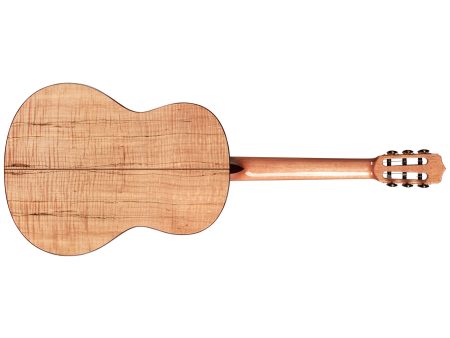 Tapa Solida SPRUCE | Cuerpo MAPLE | Mástil SLIM - Image 2