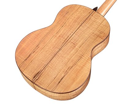 Tapa Solida SPRUCE | Cuerpo MAPLE | Mástil SLIM - Image 4