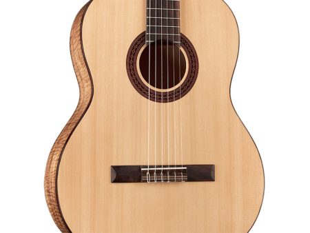 Tapa Solida SPRUCE | Cuerpo MAPLE | Mástil SLIM - Image 5