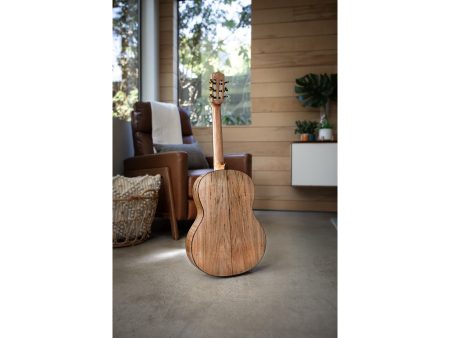Tapa Solida SPRUCE | Cuerpo MAPLE | Mástil SLIM - Image 8