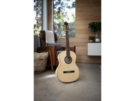 Tapa Solida SPRUCE | Cuerpo MAPLE | Mástil SLIM - Image 7