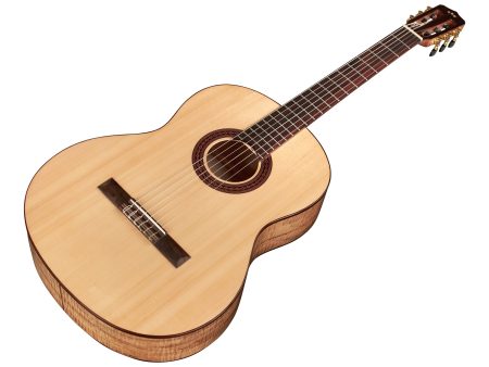 Tapa Solida SPRUCE | Cuerpo MAPLE | Mástil SLIM - Image 3