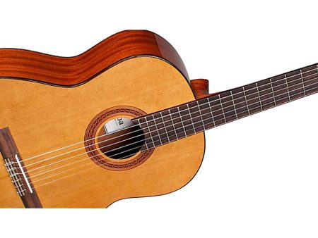 Tapa Solida CEDAR | Clásica | Brillante - Image 8