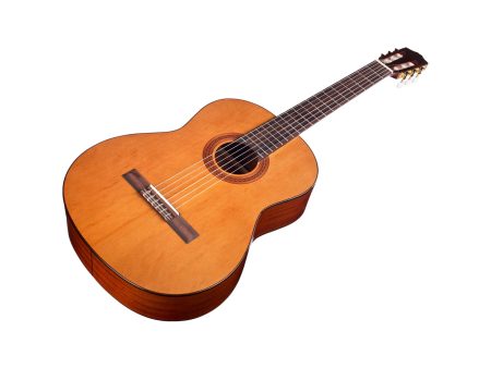 Tapa Solida CEDAR | Clásica | Brillante - Image 3