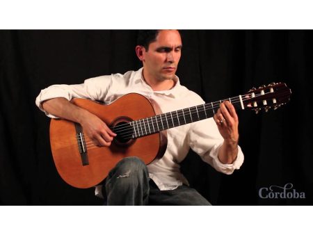 Tapa Solida CEDAR | Clásica | Brillante - Image 9