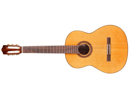 |ZURDA | Tapa Solida CEDAR | Clásica | Brillante