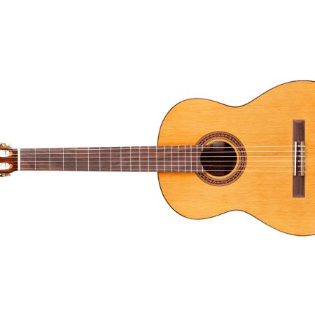 |ZURDA | Tapa Solida CEDAR | Clásica | Brillante