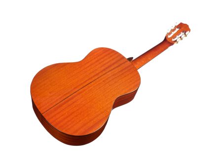 |ZURDA | Tapa Solida CEDAR | Clásica | Brillante - Image 4