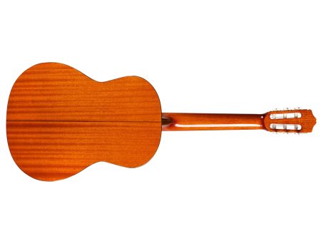 |ZURDA | Tapa Solida CEDAR | Clásica | Brillante - Image 2
