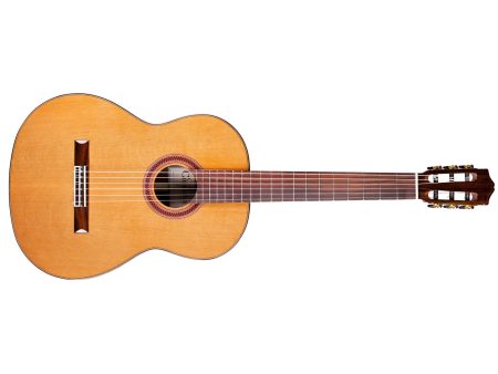 Tapa Solida CEDAR | Cuerpo ROSEWOOD | Brillante