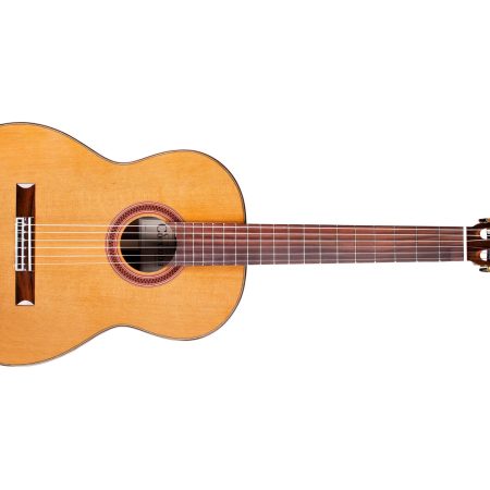 Tapa Solida CEDAR | Cuerpo ROSEWOOD | Brillante