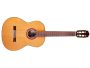 Tapa Solida CEDAR | Cuerpo ROSEWOOD | Brillante