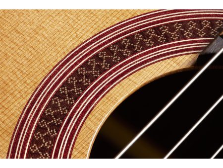Tapa Solida CEDAR | Cuerpo ROSEWOOD | Brillante - Image 5