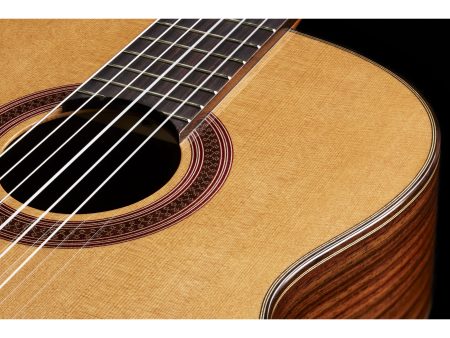 Tapa Solida CEDAR | Cuerpo ROSEWOOD | Brillante - Image 6