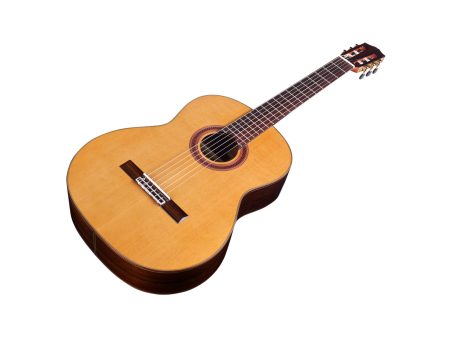 Tapa Solida CEDAR | Cuerpo ROSEWOOD | Brillante - Image 2