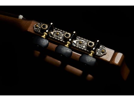Tapa Solida CEDAR | Cuerpo ROSEWOOD | Brillante - Image 10