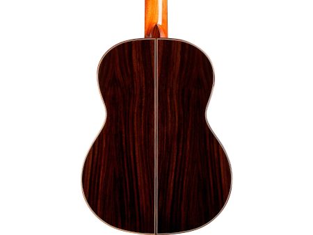 Tapa Solida CEDAR | Cuerpo ROSEWOOD | Brillante - Image 7