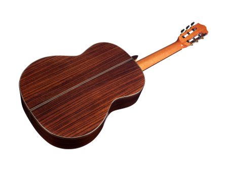 Tapa Solida CEDAR | Cuerpo ROSEWOOD | Brillante - Image 3