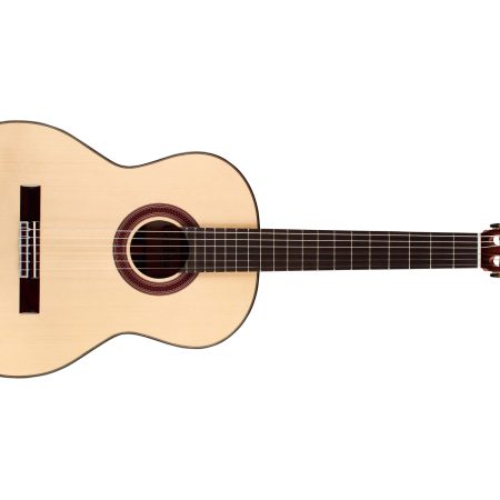 Tapa Solida SPRUCE | Cuerpo ROSEWOOD | Brillante