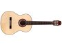 Tapa Solida SPRUCE | Cuerpo ROSEWOOD | Brillante